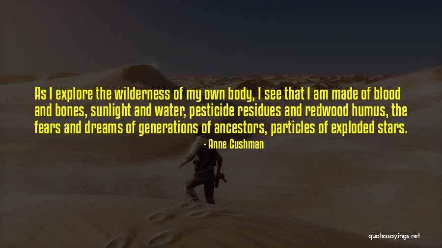 Shizumasa Togu Quotes By Anne Cushman Shizumasa Togu Quotes By Anne Cushman