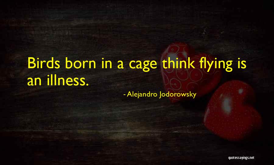 Shkodran Tolaj Quotes By Alejandro Jodorowsky Shkodran Tolaj Quotes By Alejandro Jodorowsky