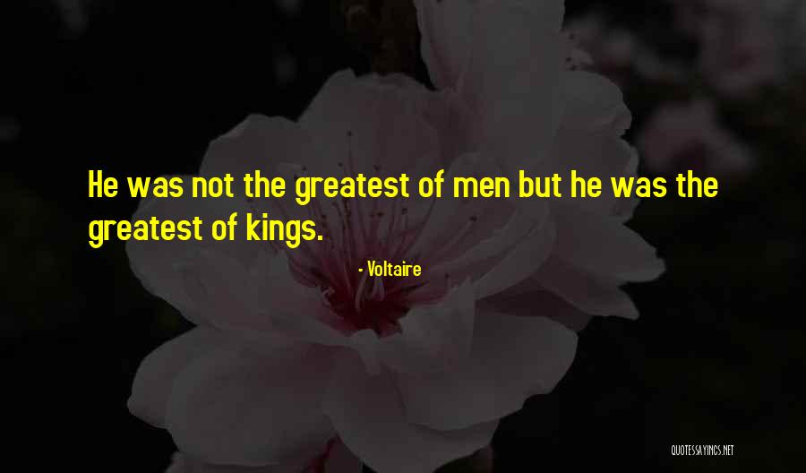 Shlain Quotes By Voltaire Shlain Quotes By Voltaire