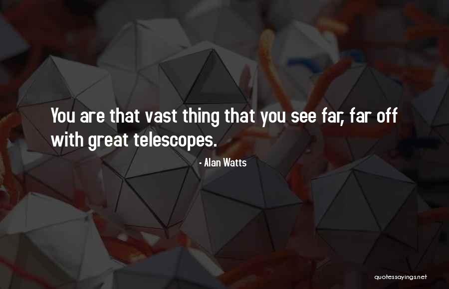 Shlemenko Vs Bruno Quotes By Alan Watts