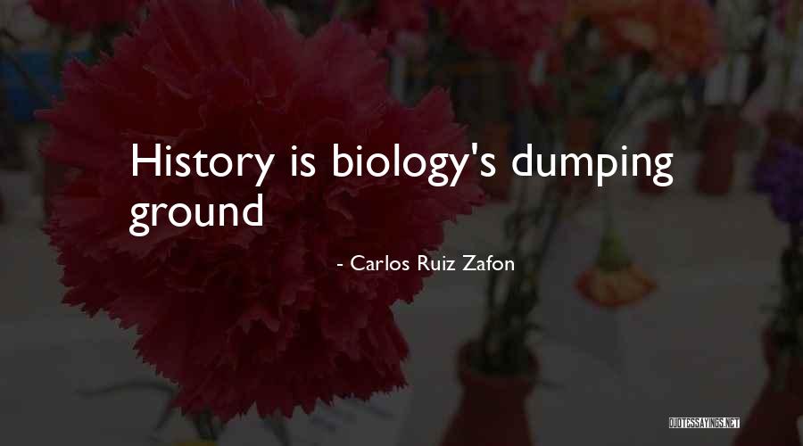Shmaltz Brewery Quotes By Carlos Ruiz Zafon Shmaltz Brewery Quotes By Carlos Ruiz Zafon