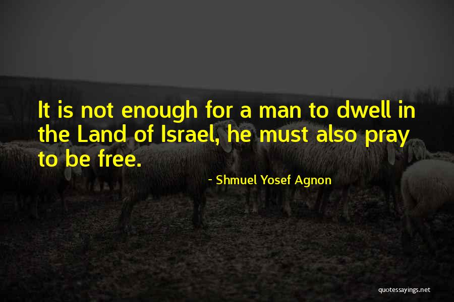 Shmuel Agnon Quotes By Shmuel Yosef Agnon