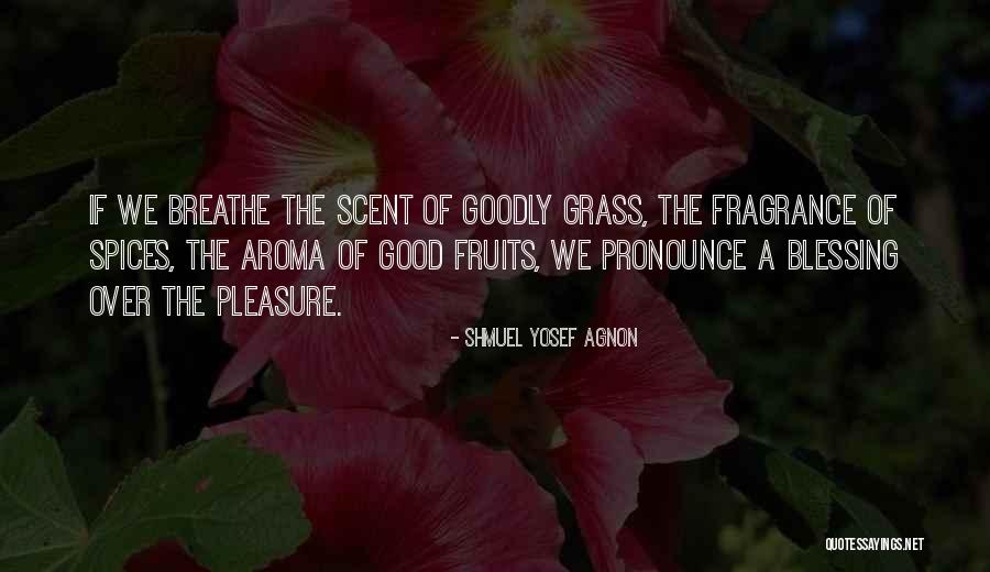 Shmuel Agnon Quotes By Shmuel Yosef Agnon