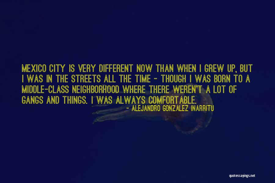 Shoal Hope Quotes By Alejandro Gonzalez Inarritu Shoal Hope Quotes By Alejandro Gonzalez Inarritu