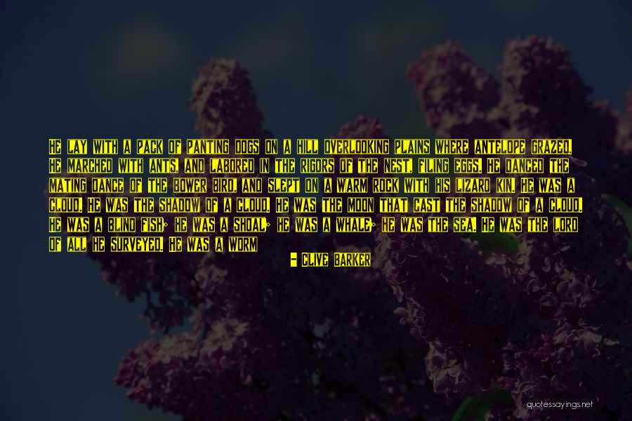 Shoal Hope Quotes By Clive Barker Shoal Hope Quotes By Clive Barker