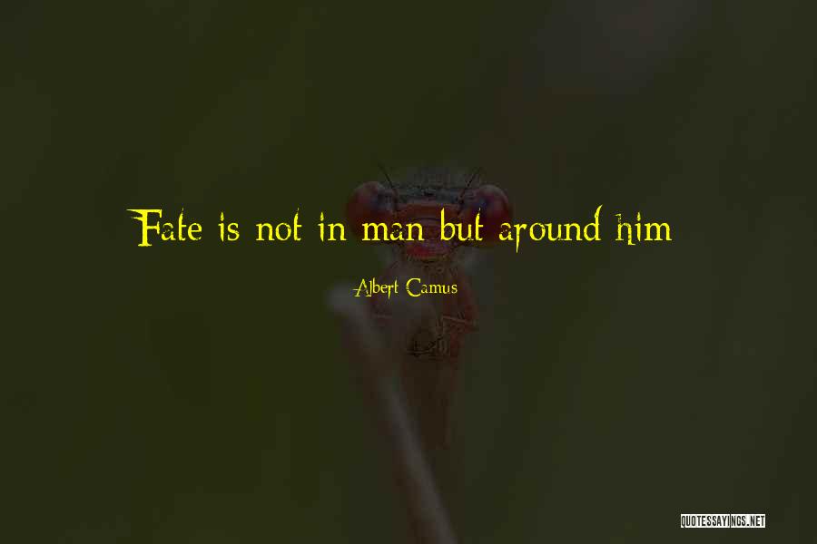 Shoberg Cleaning Quotes By Albert Camus Shoberg Cleaning Quotes By Albert Camus