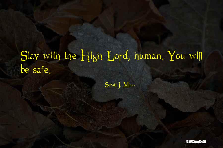 Shobi Dionela Quotes By Sarah J. Maas Shobi Dionela Quotes By Sarah J. Maas