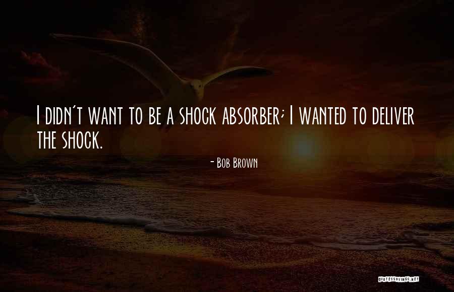 Shock Absorber Quotes By Bob Brown