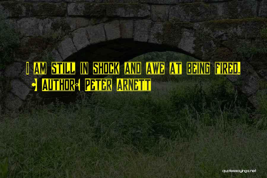 Shock And Awe Quotes By Peter Arnett