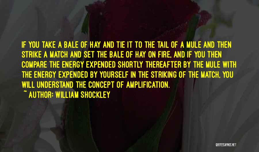 Shockley Quotes By William Shockley