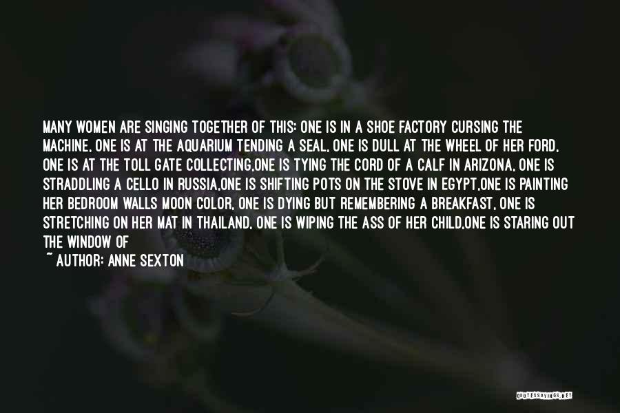 Shoe Tying Quotes By Anne Sexton