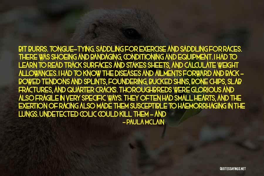 Shoeing Quotes By Paula McLain Shoeing Quotes By Paula McLain