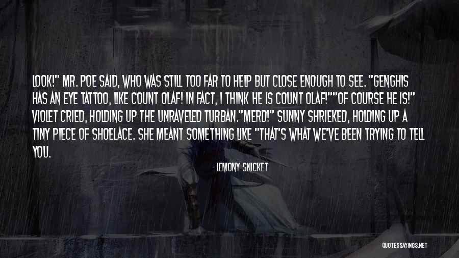 Shoelace Quotes By Lemony Snicket Shoelace Quotes By Lemony Snicket