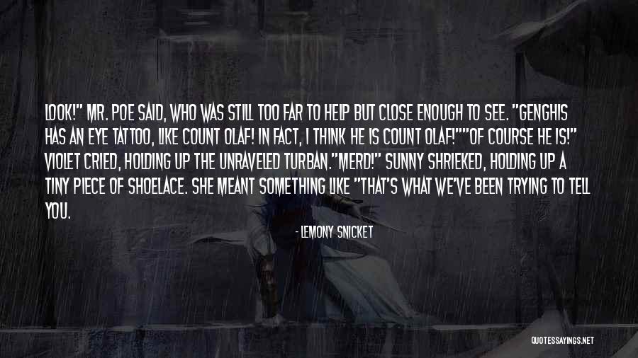 Shoelace Quotes By Lemony Snicket