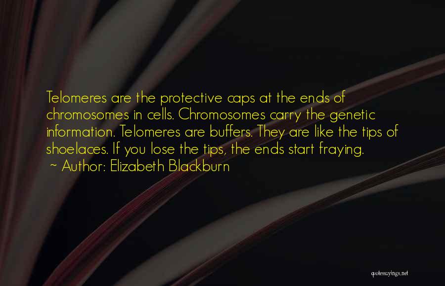 Shoelaces Quotes By Elizabeth Blackburn