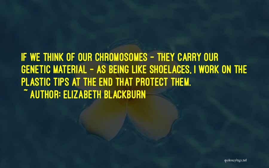 Shoelaces Quotes By Elizabeth Blackburn