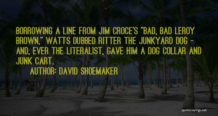 Shoemaker Quotes By David Shoemaker