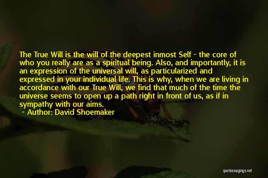 Shoemaker Quotes By David Shoemaker