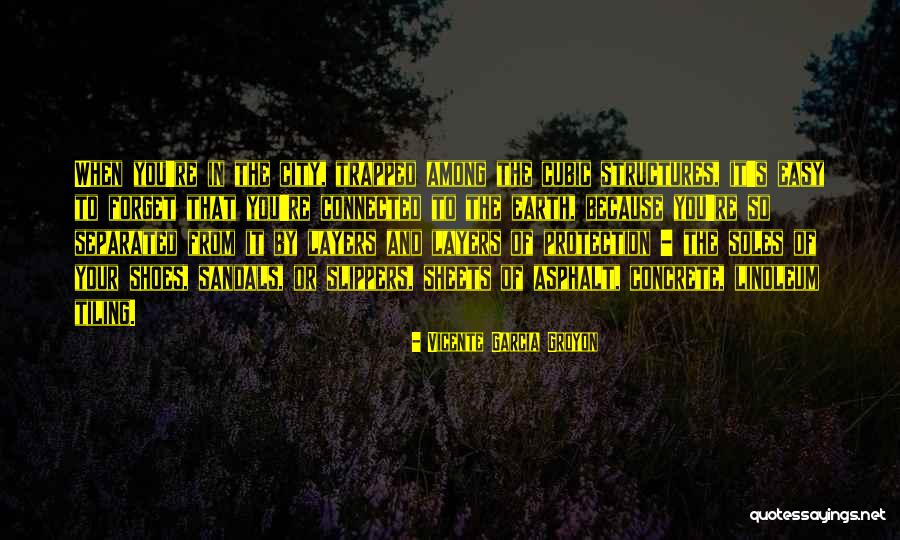 Shoes And Slippers Quotes By Vicente Garcia Groyon Shoes And Slippers Quotes By Vicente Garcia Groyon