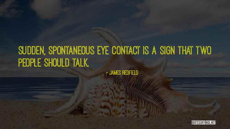 Shoes Collection Quotes By James Redfield