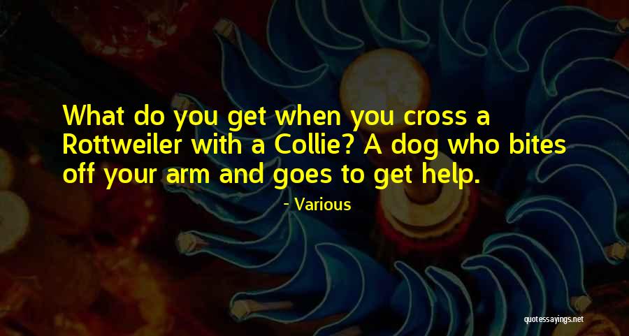 Shohar Quotes By Various Shohar Quotes By Various