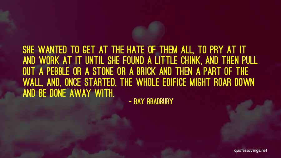 Shoichi Irie Quotes By Ray Bradbury