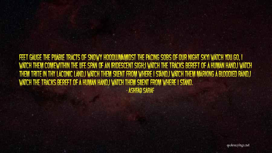 Shojaee Quotes By Ashfaq Saraf Shojaee Quotes By Ashfaq Saraf