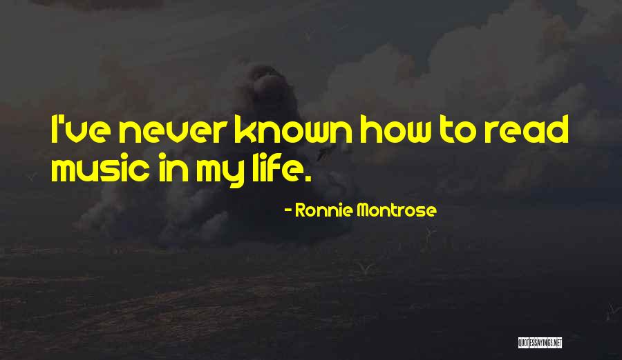 Sholokhov Mikhail Quotes By Ronnie Montrose