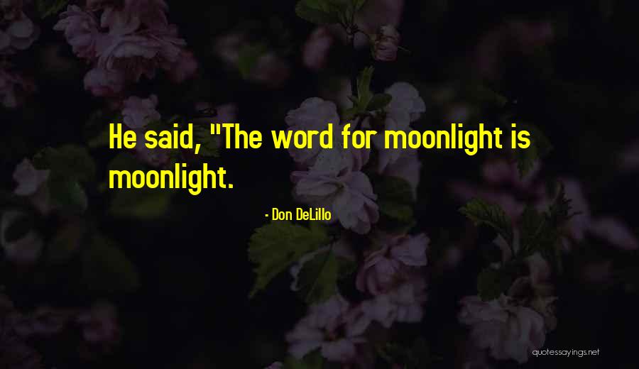 Shonie Mayo Quotes By Don DeLillo Shonie Mayo Quotes By Don DeLillo
