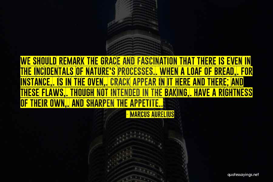 Shonny Vanlandingham Quotes By Marcus Aurelius Shonny Vanlandingham Quotes By Marcus Aurelius