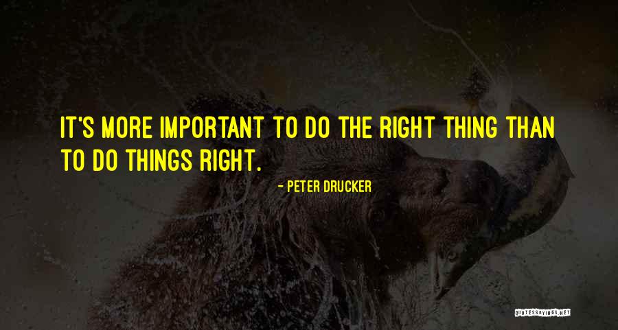 Shonteze Williams Quotes By Peter Drucker Shonteze Williams Quotes By Peter Drucker