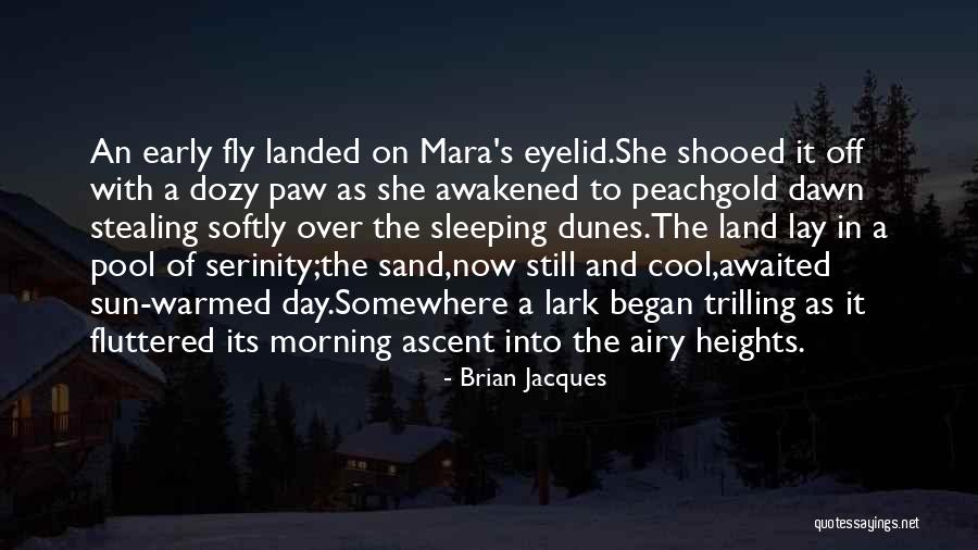 Shooed Quotes By Brian Jacques Shooed Quotes By Brian Jacques