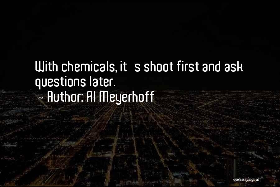 Shoot First Ask Questions Later Quotes By Al Meyerhoff