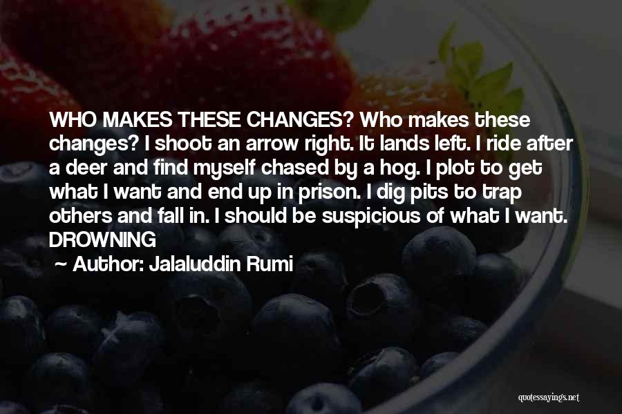 Shoot Myself Quotes By Jalaluddin Rumi