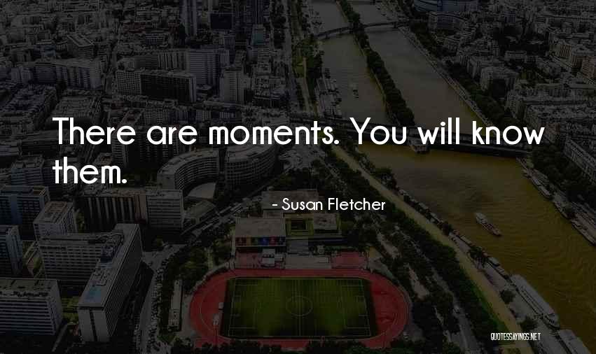 Shootability Norfolk Quotes By Susan Fletcher Shootability Norfolk Quotes By Susan Fletcher