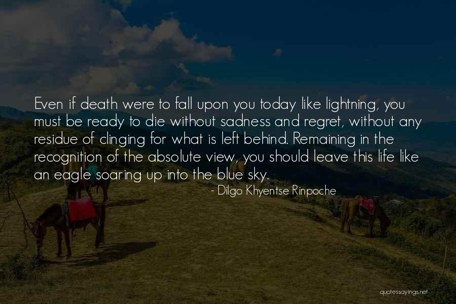 Shootable Cannons Quotes By Dilgo Khyentse Rinpoche Shootable Cannons Quotes By Dilgo Khyentse Rinpoche