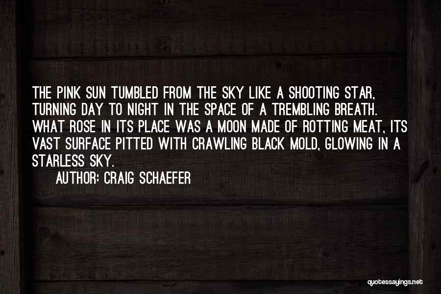Shooting Star Quotes By Craig Schaefer