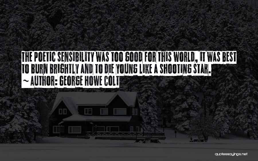Shooting Star Quotes By George Howe Colt