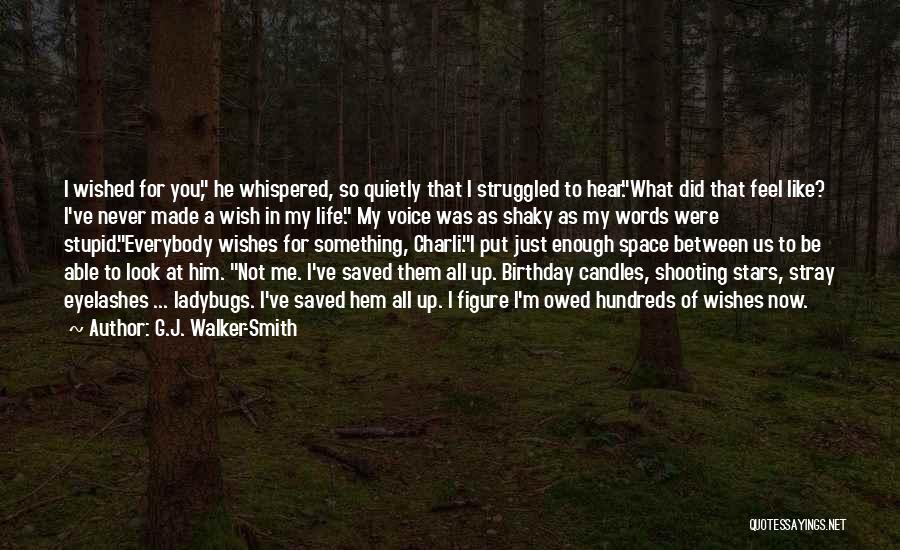 Shooting Stars And Wishes Quotes By G.J. Walker-Smith