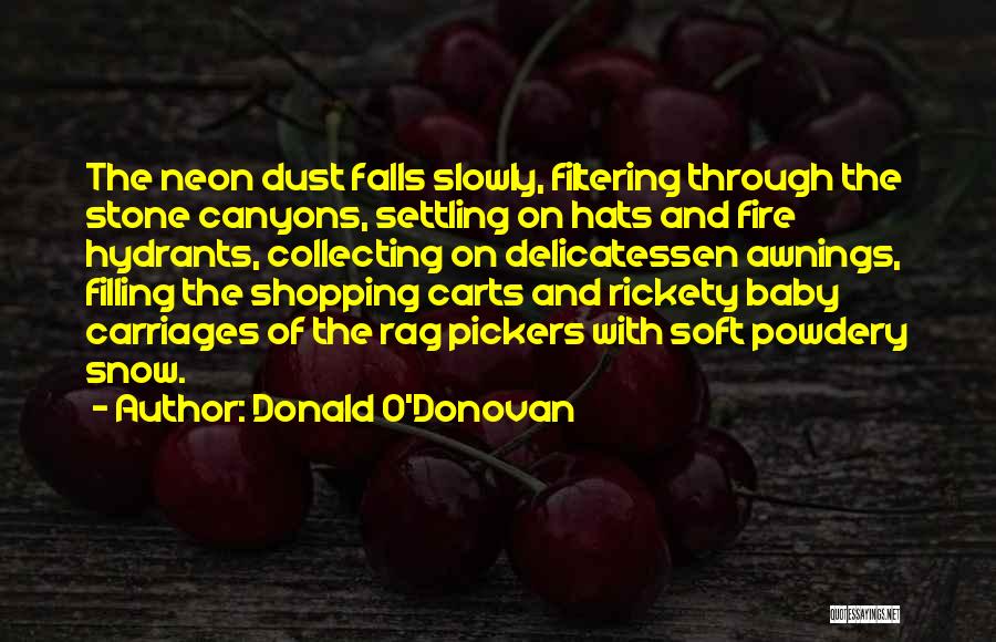 Shopping For Baby Quotes By Donald O'Donovan