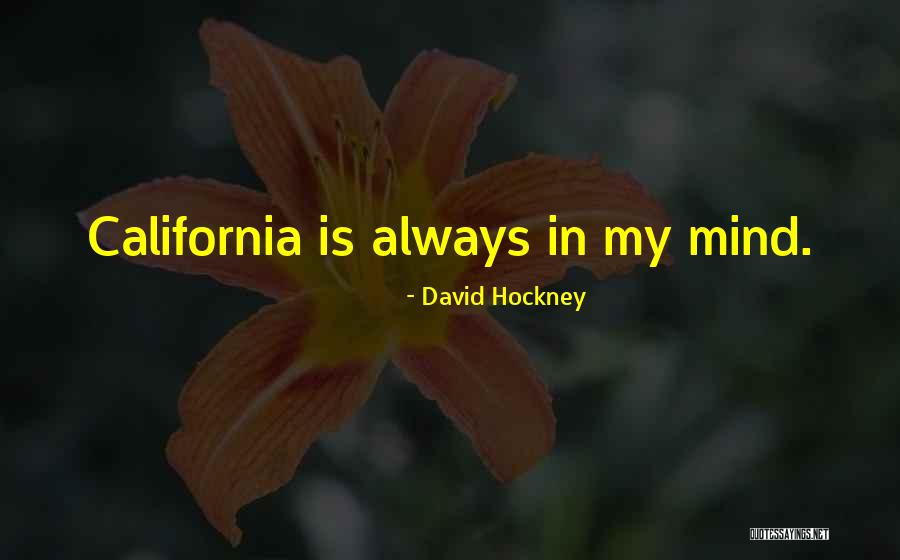 Shopping Spree Funny Quotes By David Hockney Shopping Spree Funny Quotes By David Hockney