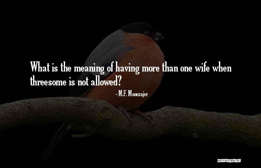 Shopsin Quotes By M.F. Moonzajer