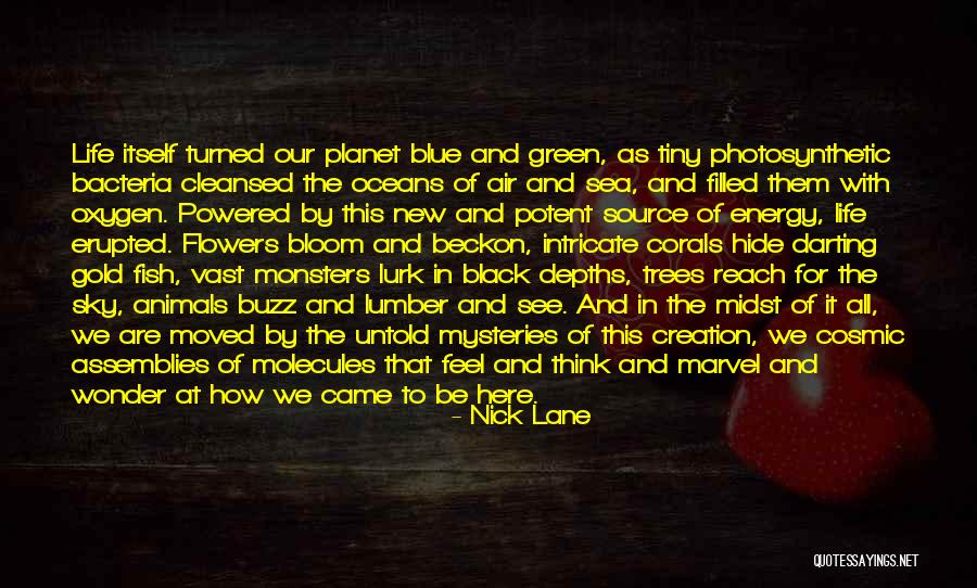 Shoquist Jennifer Quotes By Nick Lane Shoquist Jennifer Quotes By Nick Lane