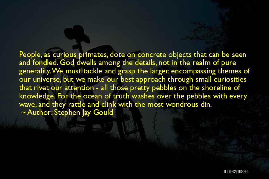 Shoreline Quotes By Stephen Jay Gould