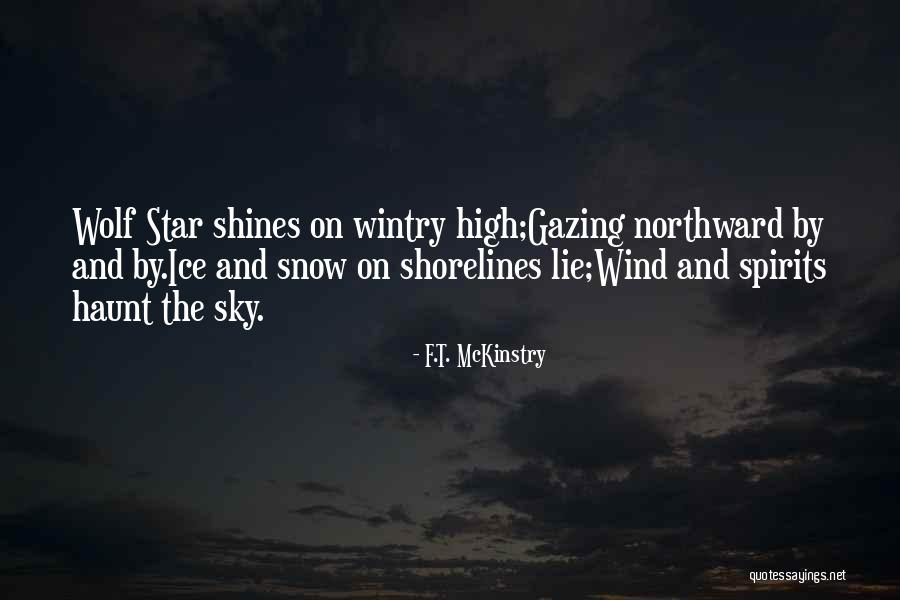 Shorelines Quotes By F.T. McKinstry Shorelines Quotes By F.T. McKinstry