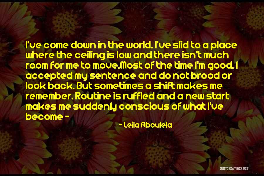 Shorenstein Family Quotes By Leila Aboulela Shorenstein Family Quotes By Leila Aboulela