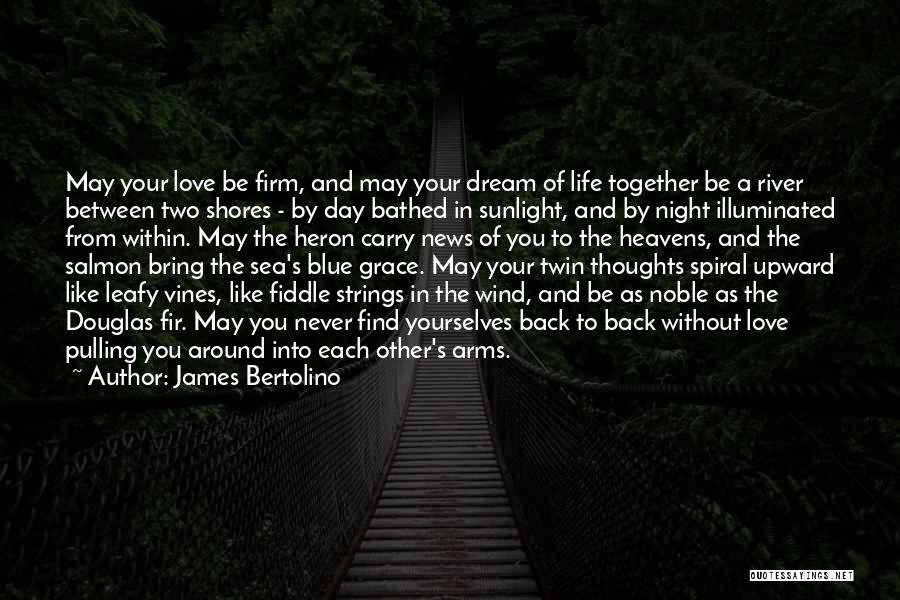 Shores Of Life Quotes By James Bertolino Shores Of Life Quotes By James Bertolino