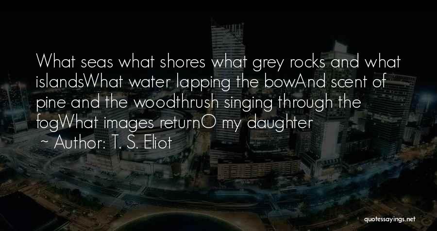 Shores Quotes By T. S. Eliot