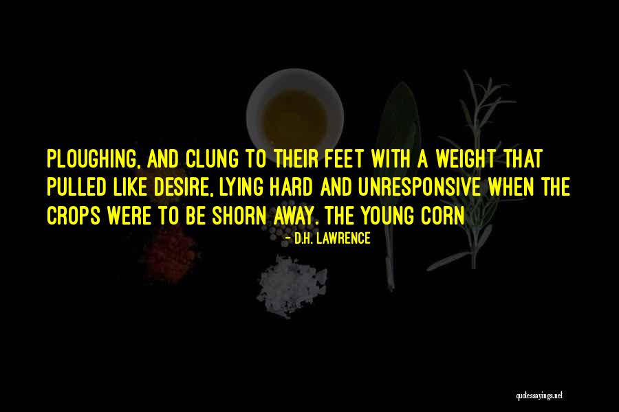 Shorn Quotes By D.H. Lawrence Shorn Quotes By D.H. Lawrence