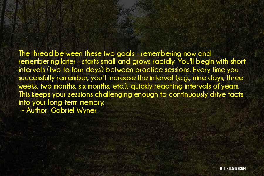 Short And Long Term Goals Quotes By Gabriel Wyner